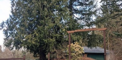 10434 Cedar Lake Drive SE, Olympia