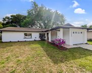 14503 Midland Greens Place, Tampa image
