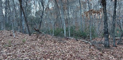 Rocky Mount  Drive Unit #53, Lake Lure