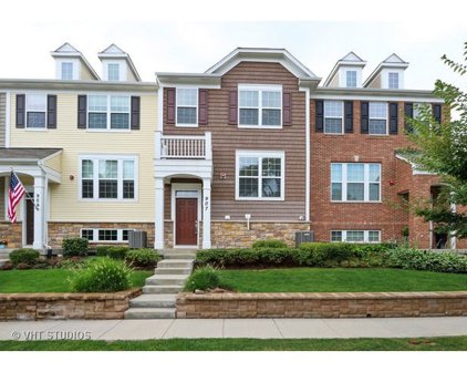 907 Hamlin Lane, Arlington Heights