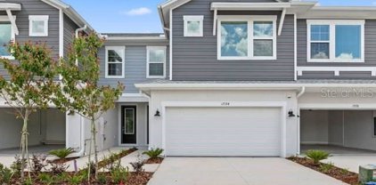 17184 Balance Cove, Land O' Lakes