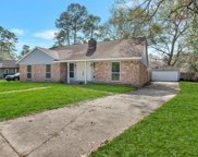 22723 Earlmist Drive, Spring image
