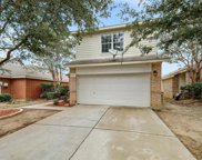2617 Mountain Lion  Drive, Fort Worth image