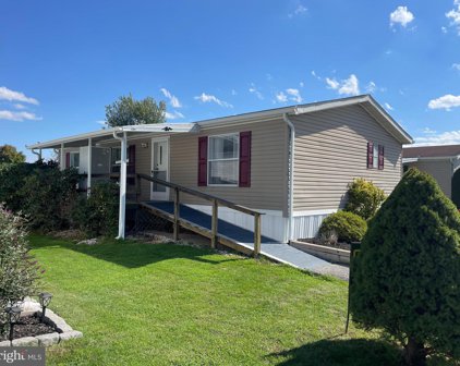 123 Mimosa Dr, York