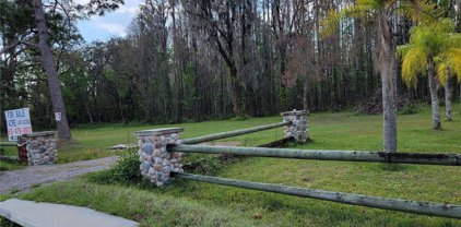 1 Acre Bell Lake Road, Land O' Lakes