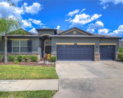 3742 Tristram Loop, Land O' Lakes