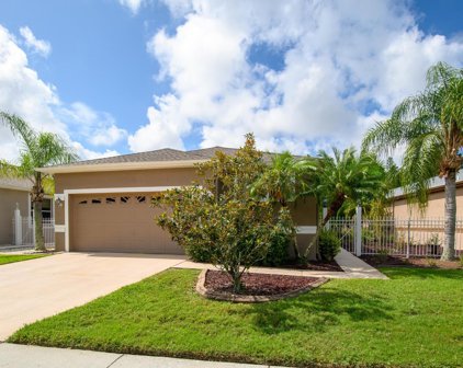 21018 Diamonte Drive, Land O' Lakes
