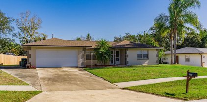 909 Whitewood Drive, Deltona