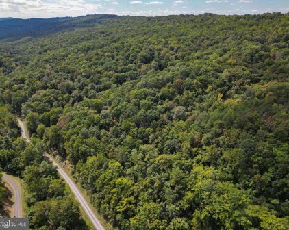Lot 59 Bluffs Rd, Springfield