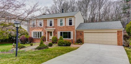 17 Trailridge Ct, Potomac