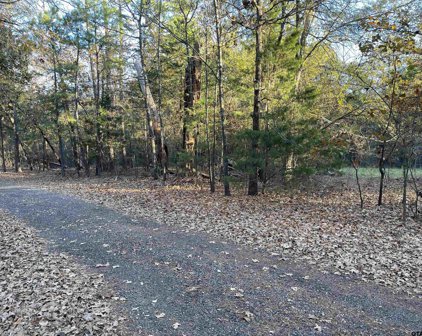 Lot 03 CR 2450, Leesburg
