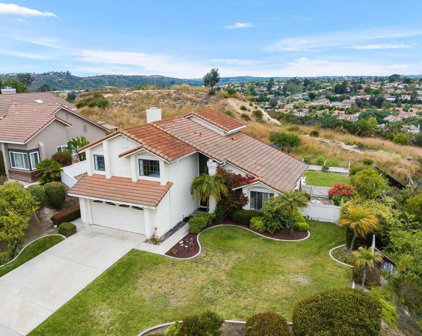1458 Avenida La Posta, Encinitas