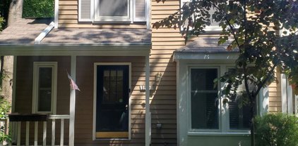 1500 Poplar Grove Dr, Reston