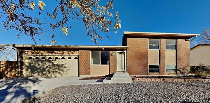 12264 Garfield Place, Thornton