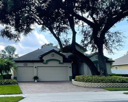 12650 Westfield Lakes Drive, Winter Garden
