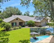 6 Fawn Pass Way, Ormond Beach image