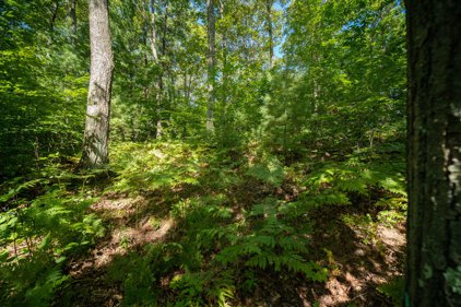 Emerald Ridge Unit 29, Onekama