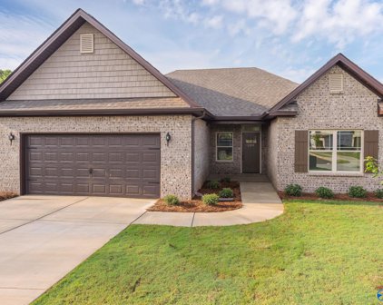 04 Pennington Avenue, Huntsville