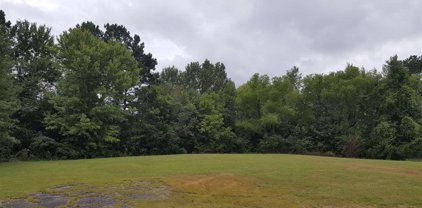 Lot 10 Us Highway 431 S, Guntersville