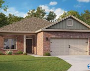 160 High Leaf Drive, Harvest image