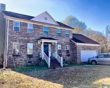 119 Country Lake Road, Guntersville