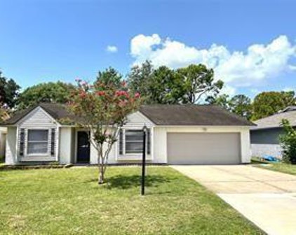 16410 Blackhawk Boulevard, Friendswood