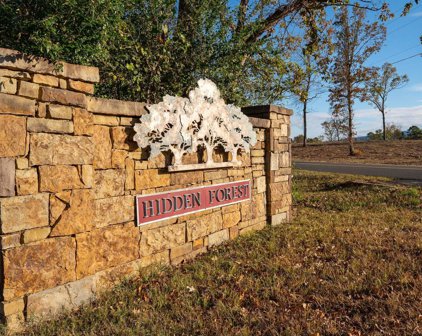 Lot 19 & 18 Wildwood Forest, Hot Springs