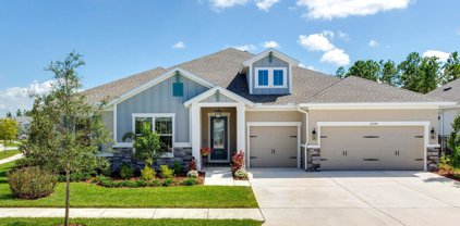 16244 November Rain Court, Land O' Lakes
