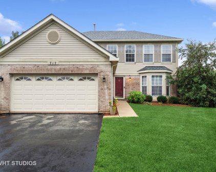 717 Blackhawk Lane, Bolingbrook