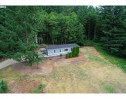 41107 NE 145TH AVE, Amboy image