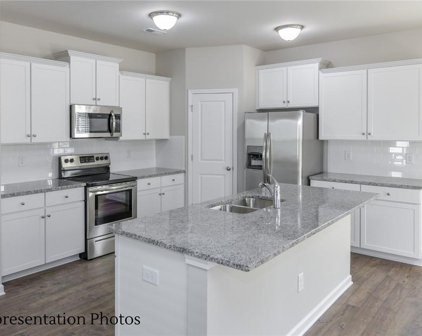 3018 Mcgee Hill  Drive, Charlotte