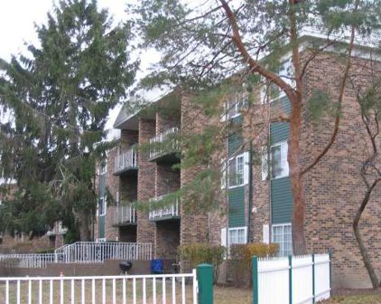 1605 N Windsor Drive Unit #206, Arlington Heights