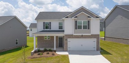 253 Aster Avenue, Locust Grove