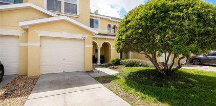 2529 Colony Reed Lane, Clearwater