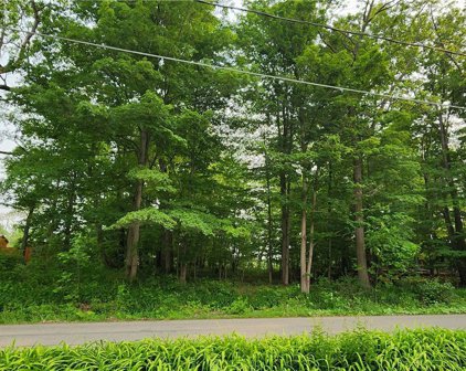 V/L Burns  Road, Evans-144489