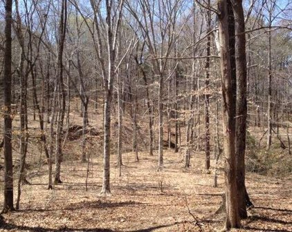 135 Lummus Road, Covington