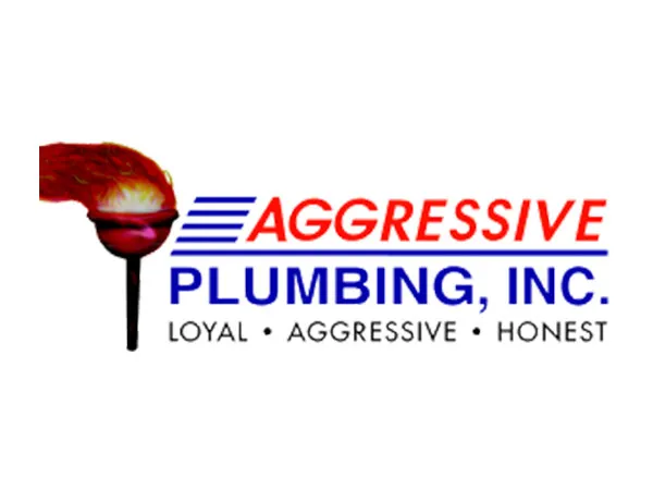 aggressive plumbing