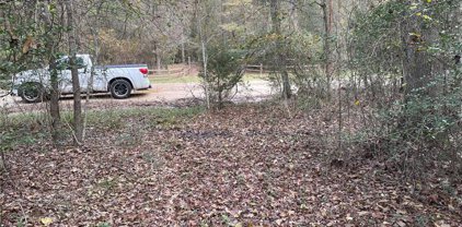Wood Forest Drive, New Waverly