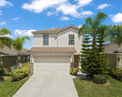 1335 Pasadena Bloom Lane, Ruskin