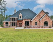 323 Maple Leaf, Magnolia image