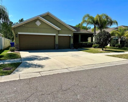 12117 Streambed Drive, Riverview