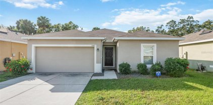 10411 Candleberry Woods Lane, Gibsonton