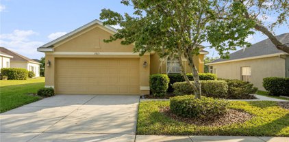 2813 Graphite Court, Valrico