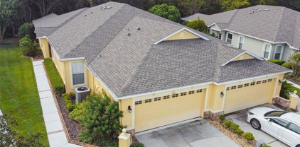 7504 Deer Path Lane, Land O' Lakes