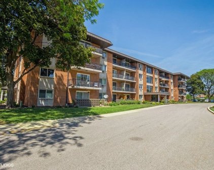 2234 Goebbert Road Unit #423, Arlington Heights