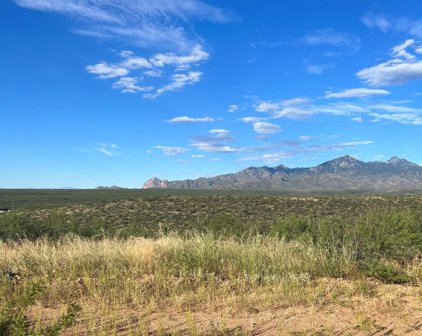 TBD Camino Nacozari Unit #74, Rio Rico