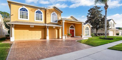10129 Hart Branch Circle, Orlando