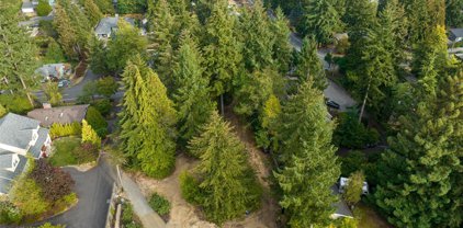 162 xx 21st Avenue SW Unit #Lot 1, Burien