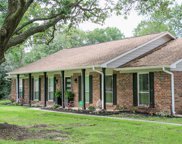 9213 Lee Lane, Manvel image