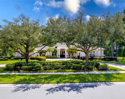 18141 Longwater Run Drive, Tampa